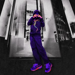 птички
