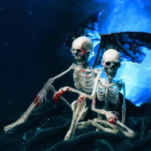 ЦВЕТЫ И КОСТИ