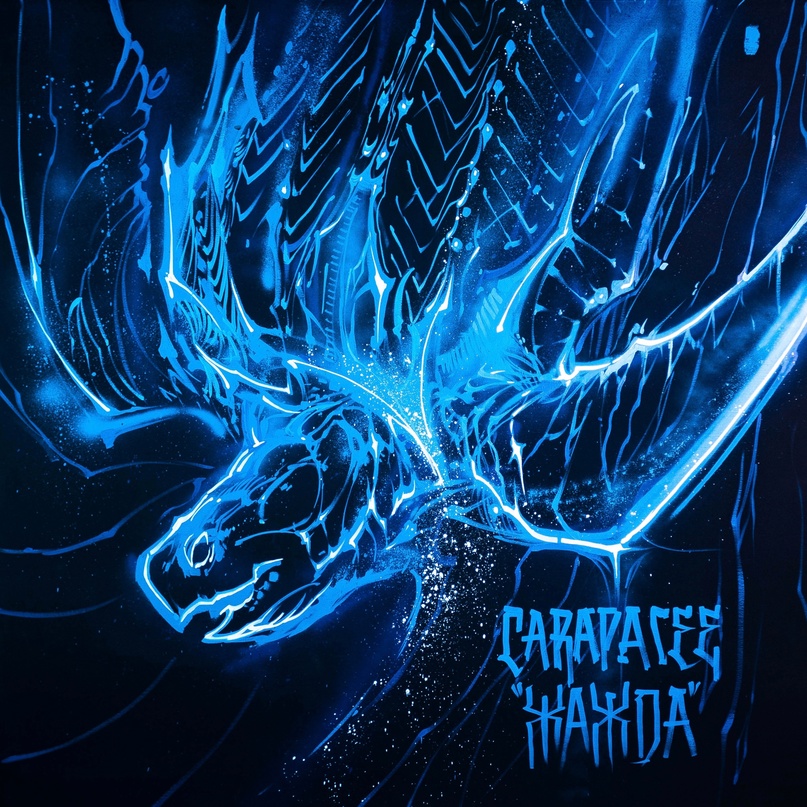 Собачий ошейник