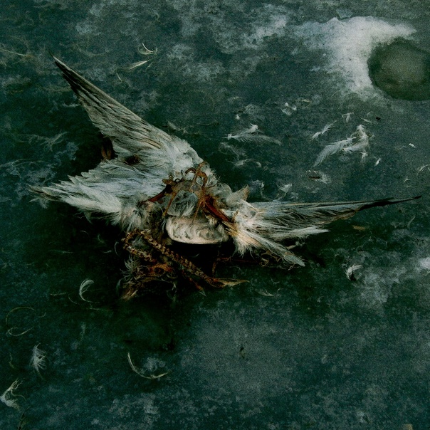 маленький принц