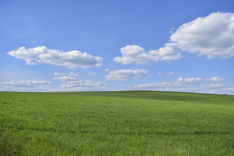 Cover photo