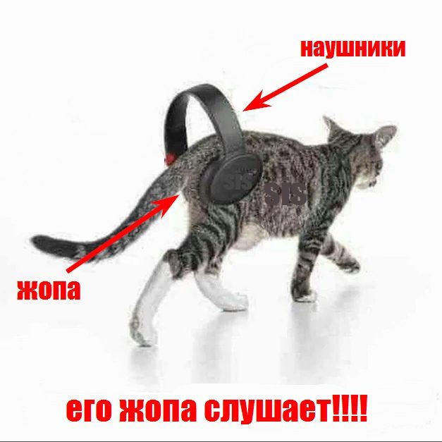 nipro
