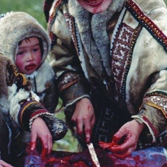 kyvshin