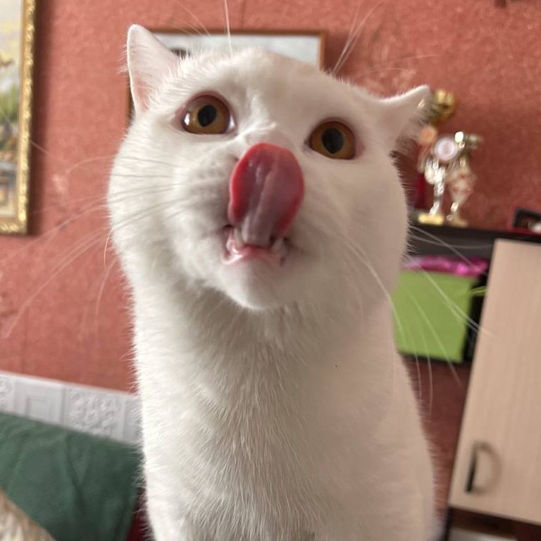 l1ker