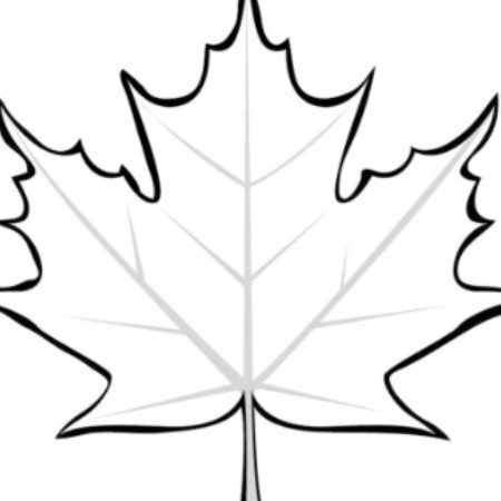 Maple Leaf