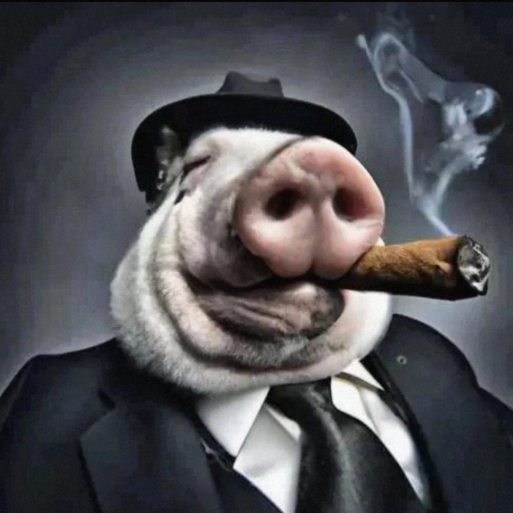 vanyavanyavanyavanyavanyavanya