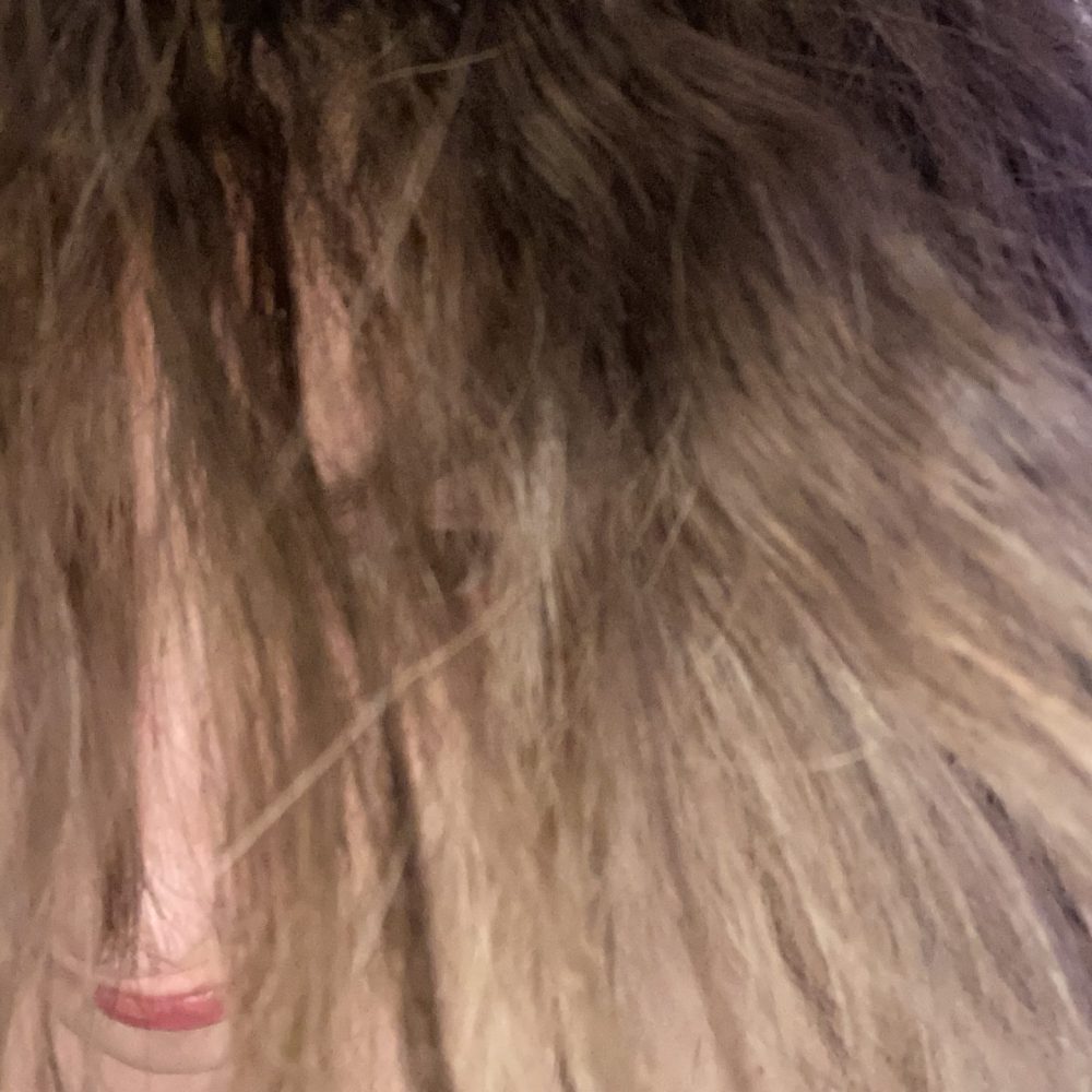 youkidsswannaseeadeadbody