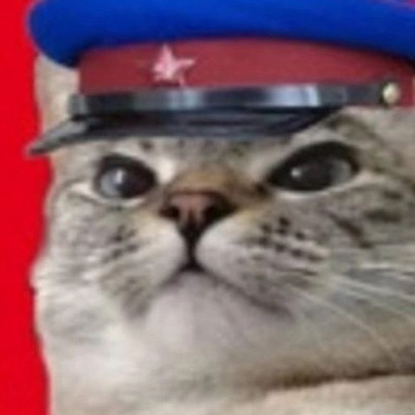 Товарищ ещё не майор