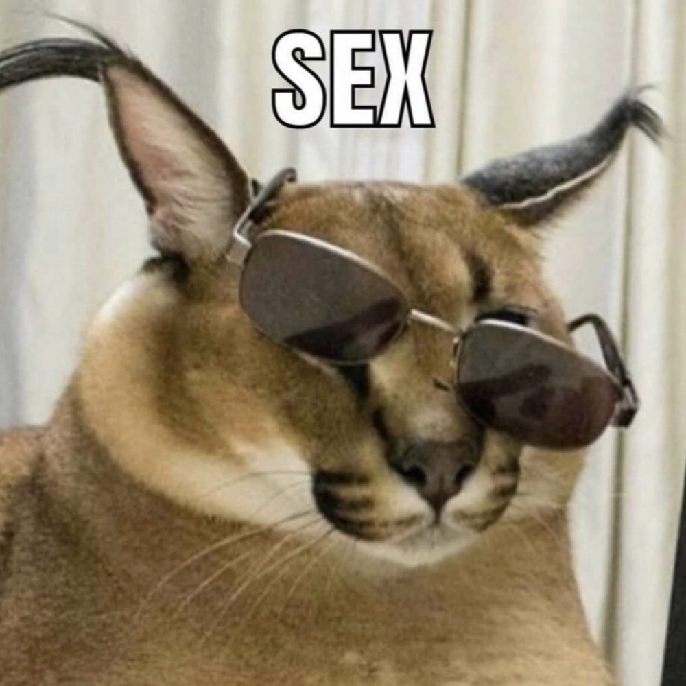 ohhnosempai