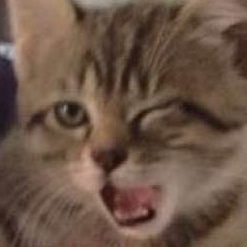 whenever been tomorrow