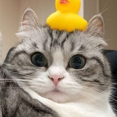 P0RTERz