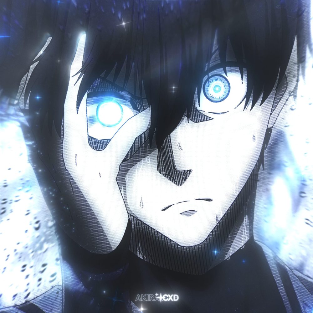 akiracxd