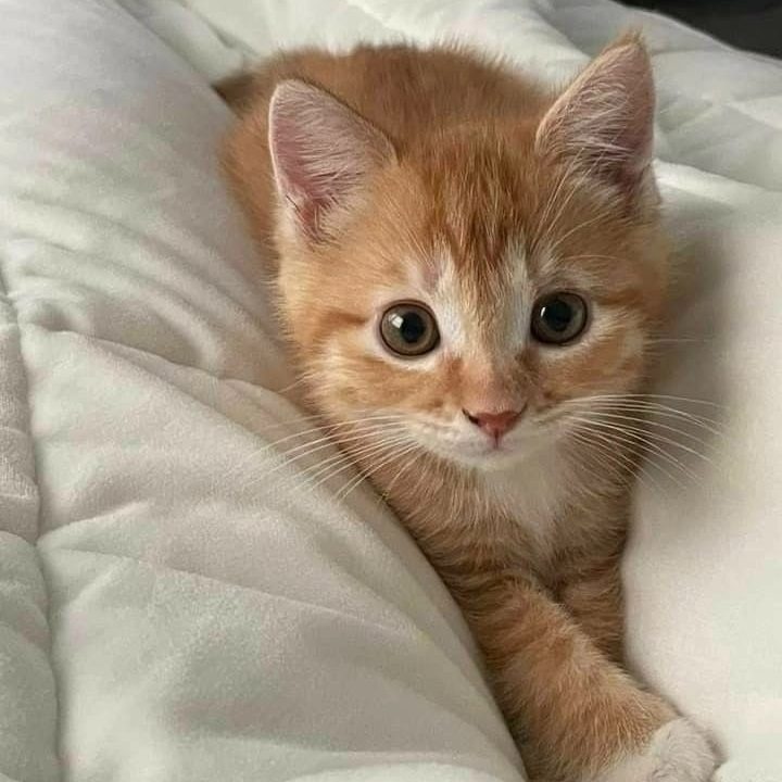 wea stops warming :(