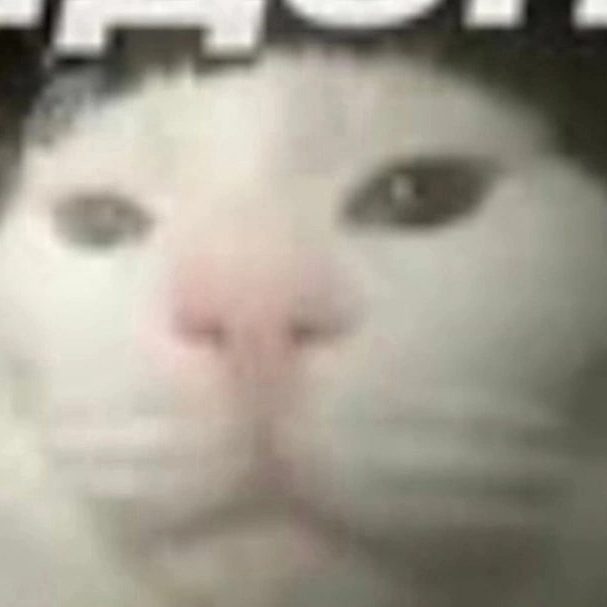lancik37