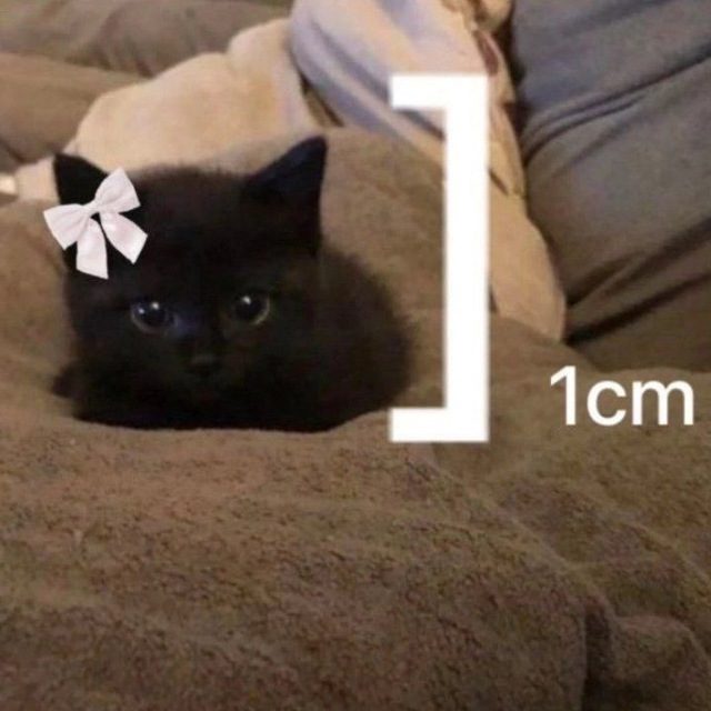 Оксана Сыромятникова