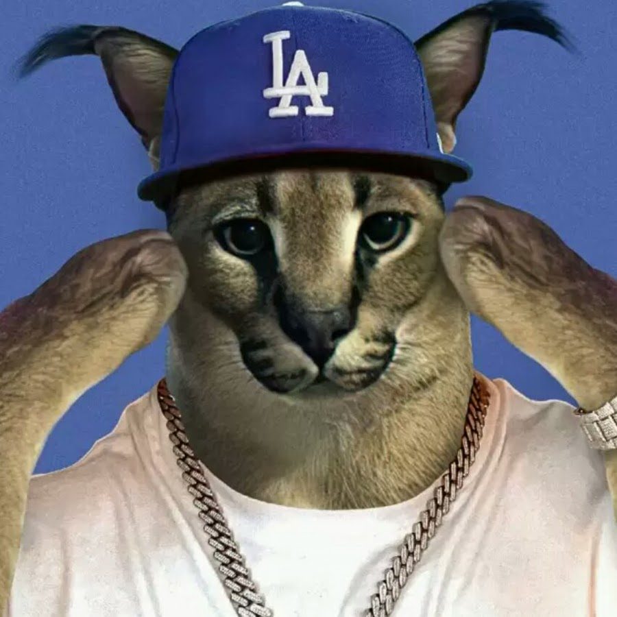 NJPelmenba