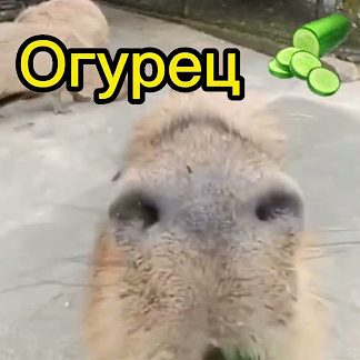Malchik_1