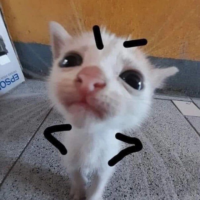 daswyy