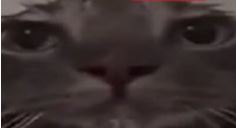 pr1ce