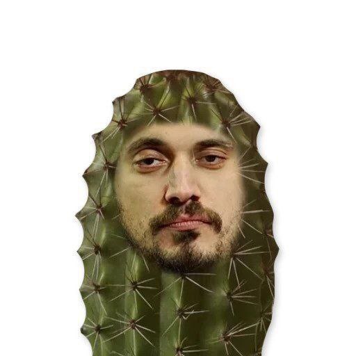 chakizz