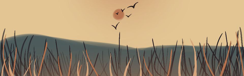 Cover photo