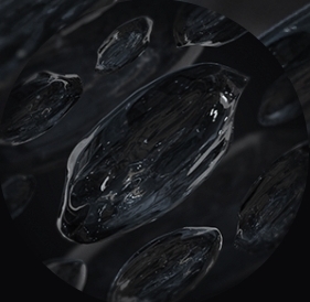 Hernia intervertebralis