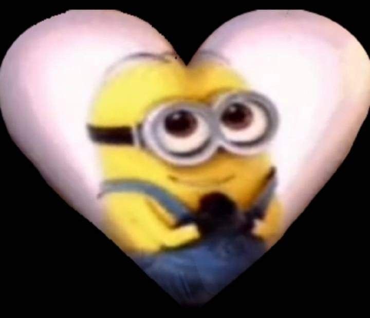 BIG_IRISK