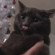 winterx