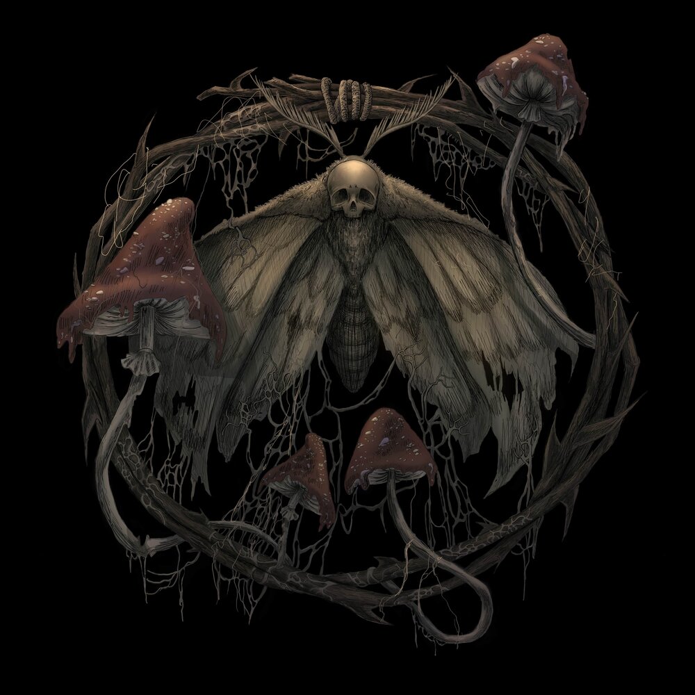 Что скрывает лес