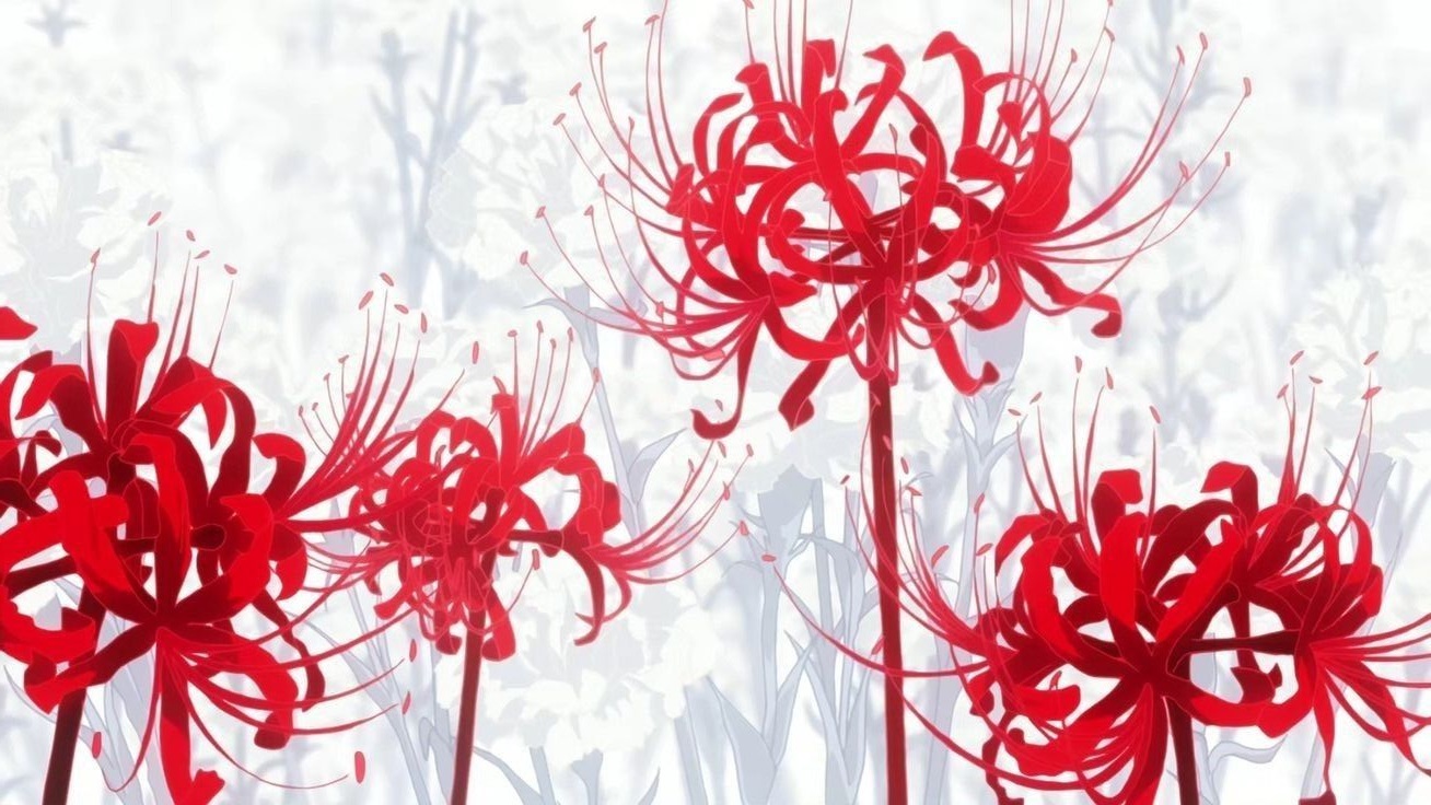 Cover photo