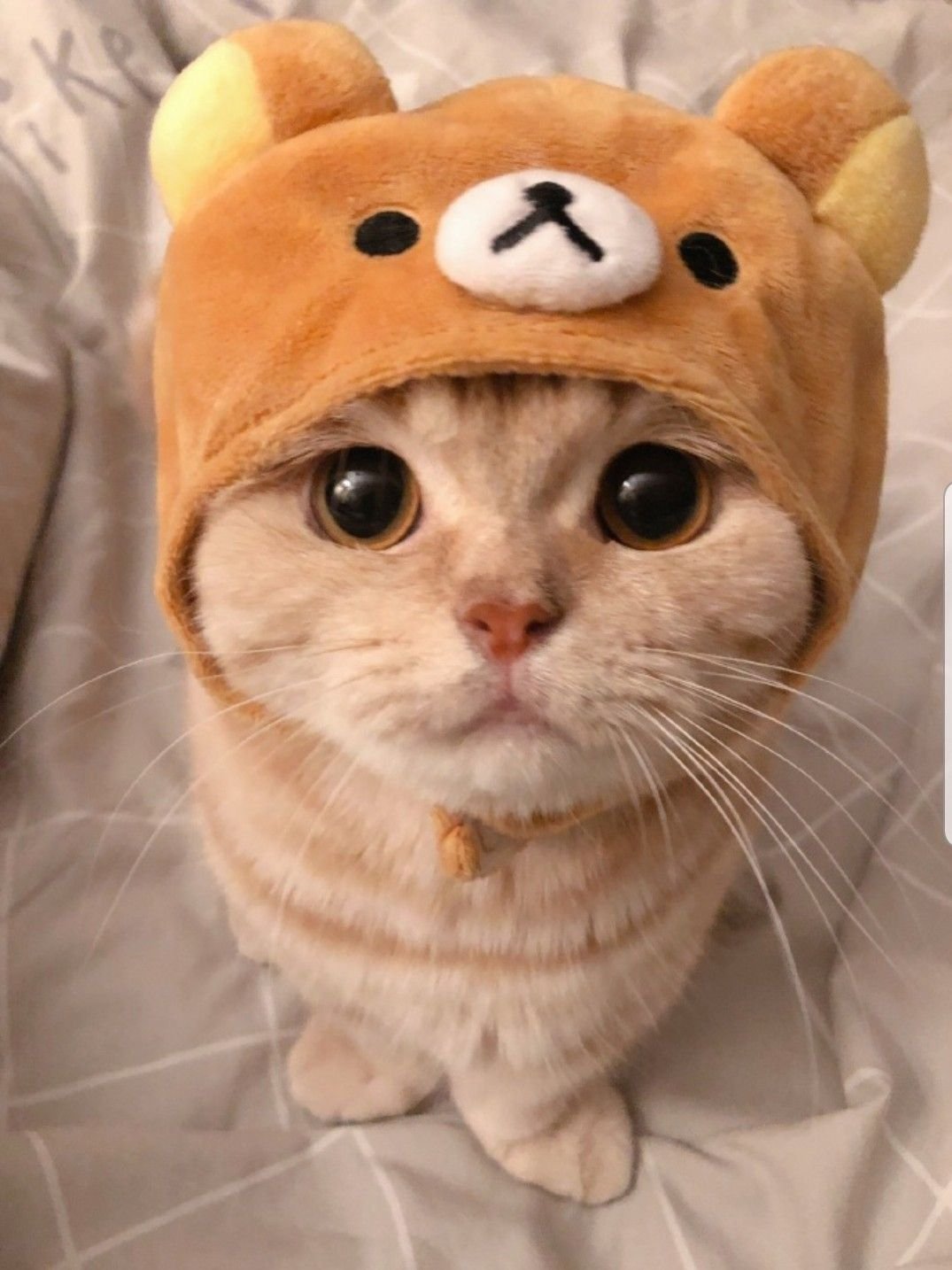 Kusariba