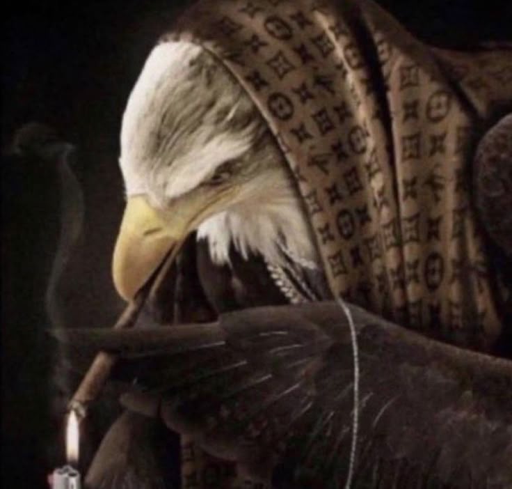 Лазер яра 777