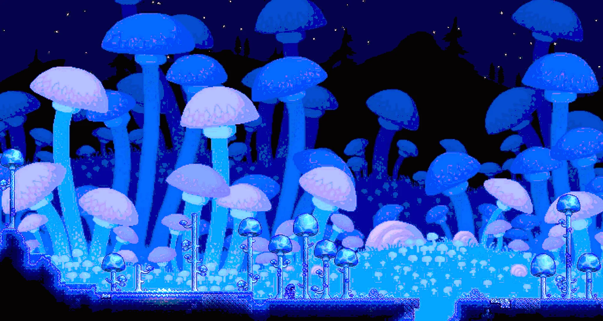 Cover photo
