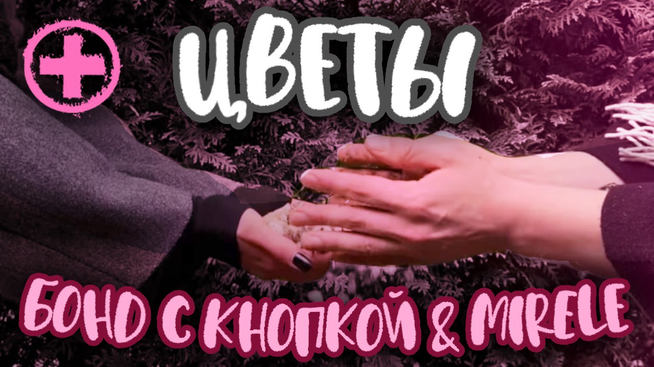 Медиа рецензия