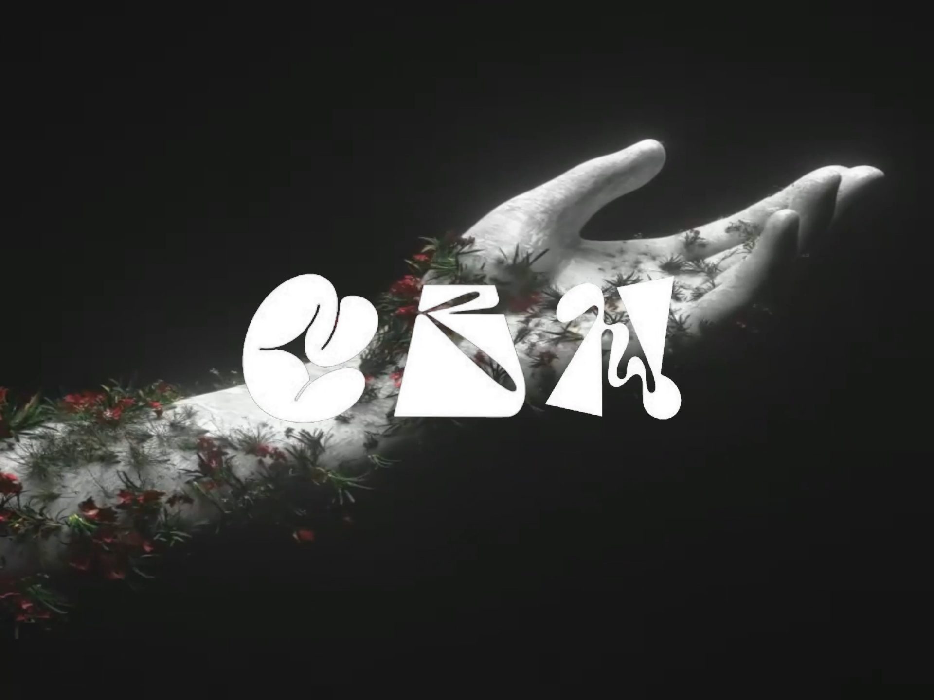 Cover photo