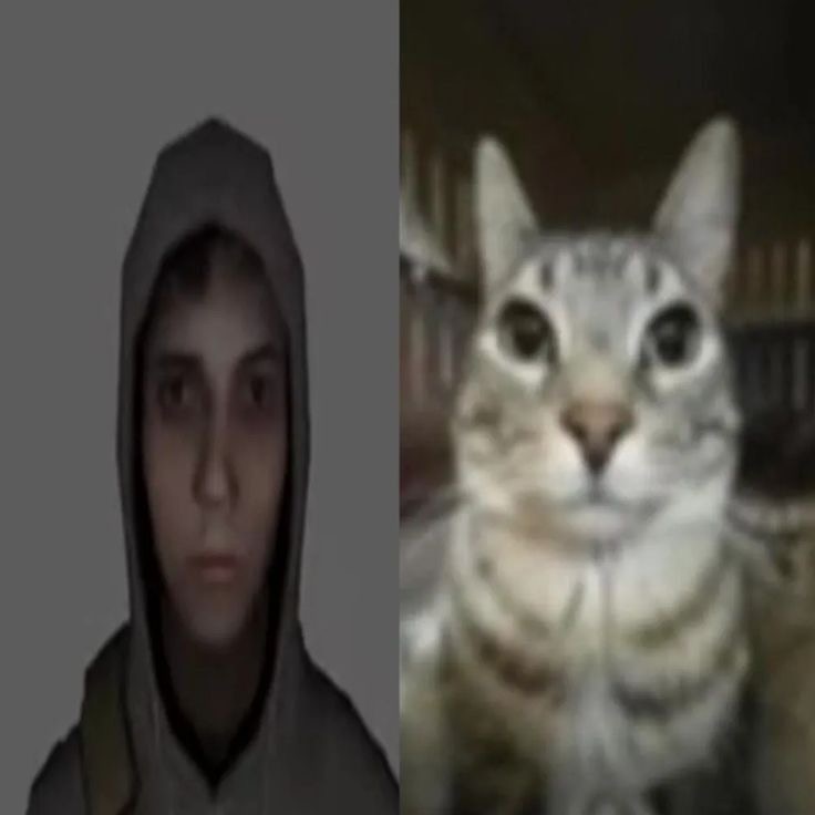 eliver
