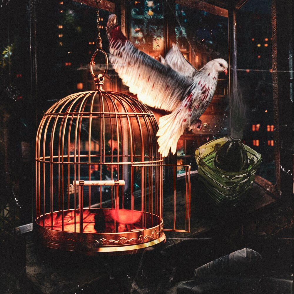 BIRD