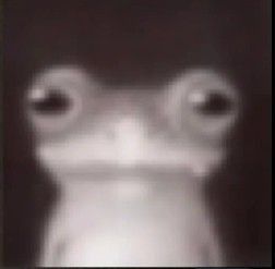 sadhyper