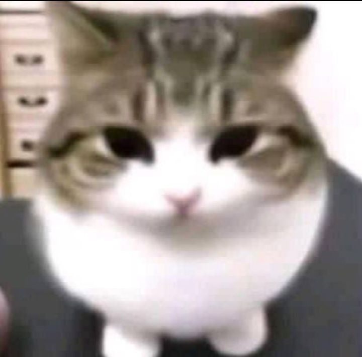 l1l1nn