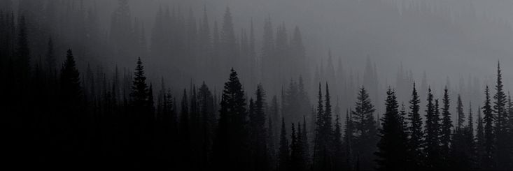 Cover photo