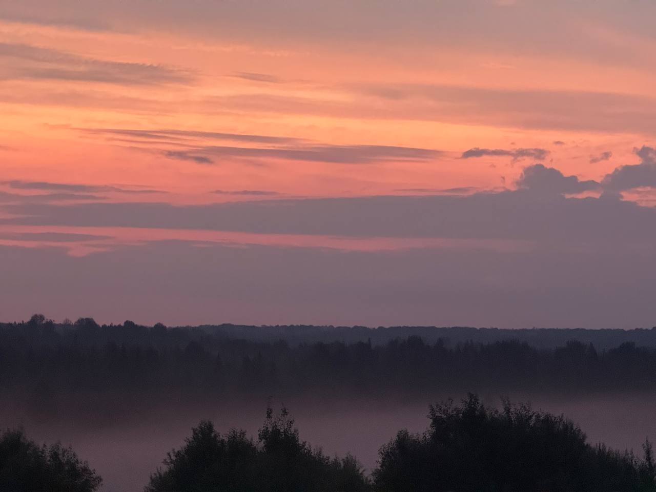 Cover photo