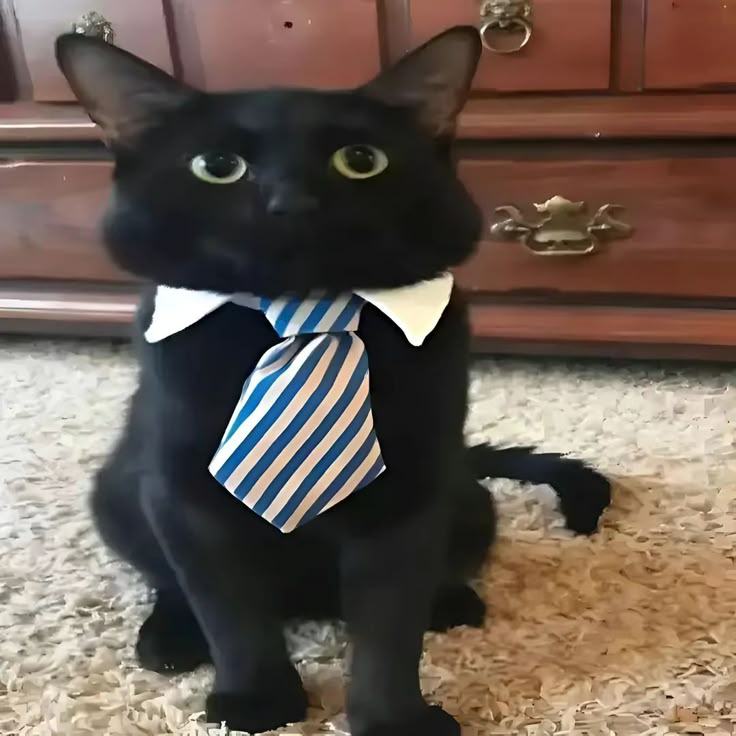 /qwetwor/