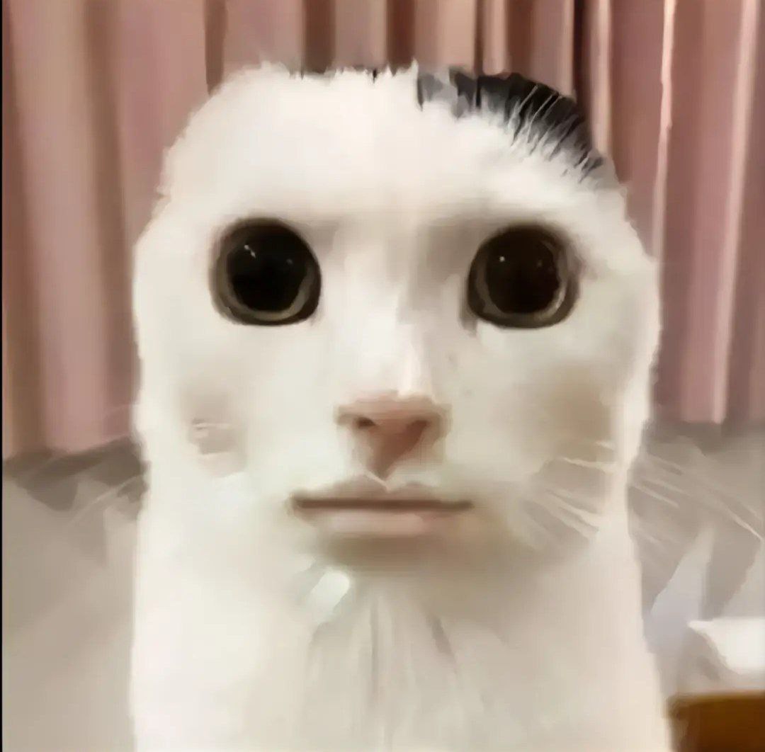 KishkaYorshik