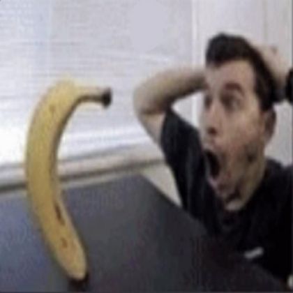insomniackid1337