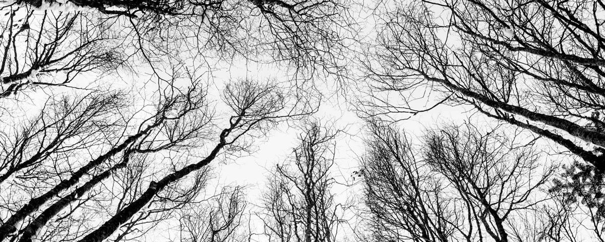 Cover photo
