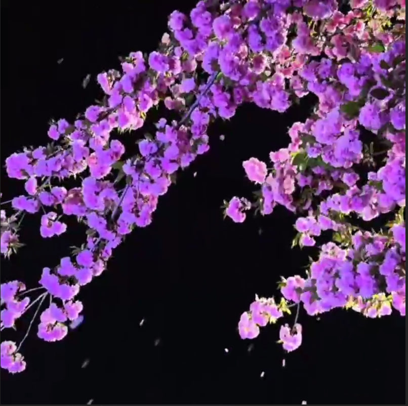 чилловый бро