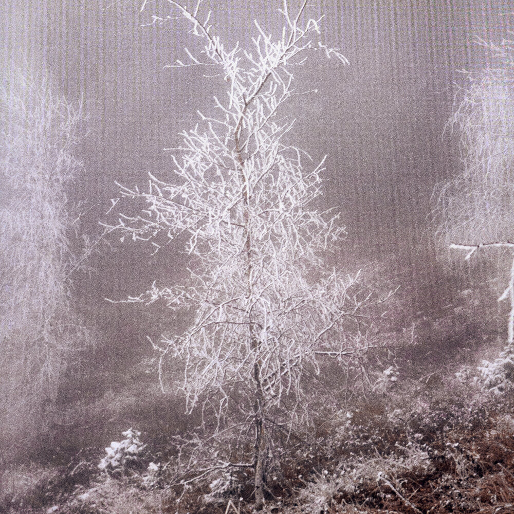 вечная петля