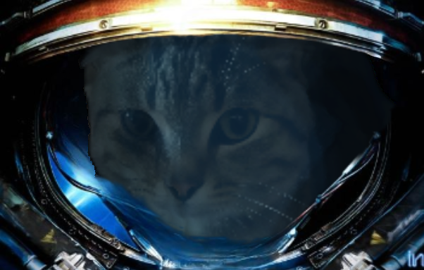 Диего Блэквуд