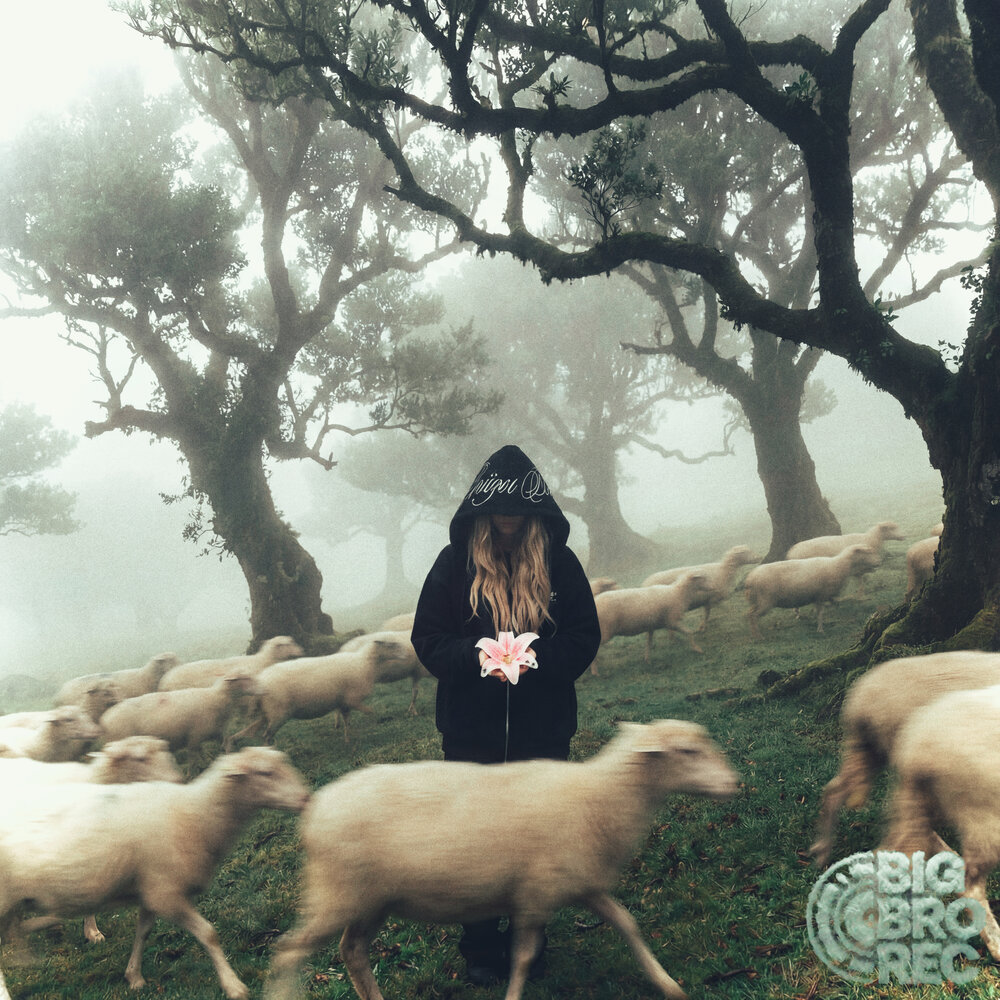 Флористика